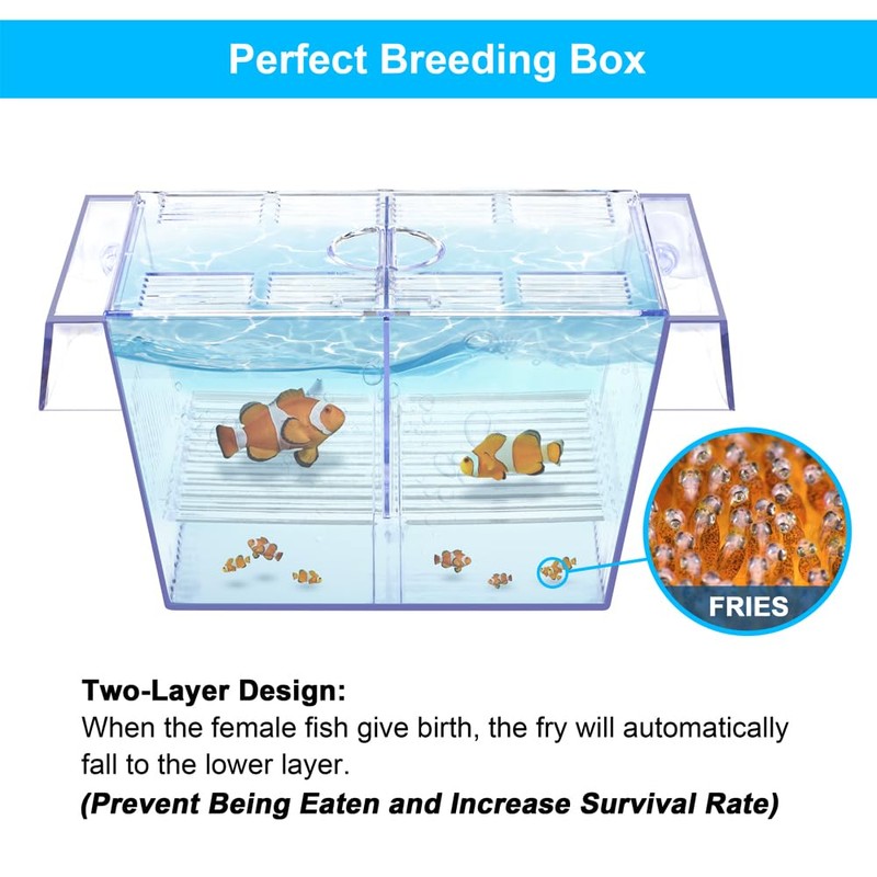 DaToo Fish Breeding Box Aquarium Holding Tank Transparent Fish Isolation