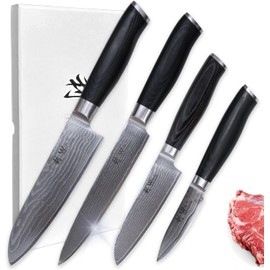 Wakoli Damascus Kitchen Knife Set, 4 Pieces Professional Chef Knife Set made from 67 Layers of Damascus Steel with VG10 Core, Knives Set for Kitchen with Micarta Handles in Gift Box (Mikata)