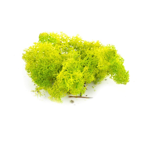 WWScenics Lichen Light Green Moss Model Foliage 60g – Model