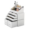 READAEER Makeup Organizer 3 Pieces Cosmetic Storage Case with 6