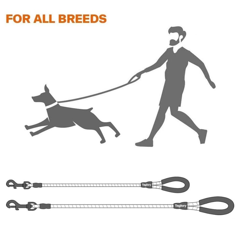 Dog Lead with Soft Padded Handle, 1.2m Reflective Dog Lead