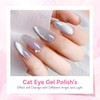 Makartt Cat Eye Gel Nail Polish: Universal Jelly Holographic Cateye