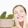 Prolong Lash Eyelash Extension Shampoo - Foaming Cleanser Concentrate for