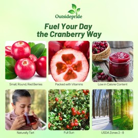 Outsidepride Cranberry Seeds - 500 Pcs. Perennial, Easy to Grow & Low Maintenance, Fruit Seeds for Planting Nutrient-Rich Berries with Purple Blooms for Pollinator Gardens & Container Displays