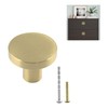 Jiozermi 2 Pack 1 inch Cabinet Knobs with Mounting Screws,