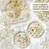 Mini Dried Pressed Baby's Breath Flowers Bulk - Real Natural