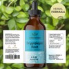 HERBAMAMA Cryptolepis Tincture - Vegan Cryptolepis Sanguinolenta Immune Support Supplement