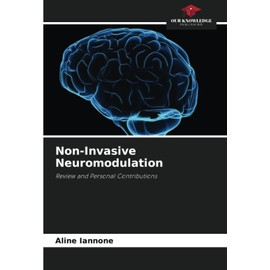 Non-Invasive Neuromodulation: Review and Personal Contributions