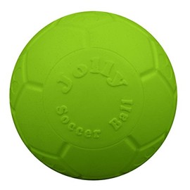 Jolly Pets Medium Soccer Ball Floating-Bouncing Dog Toy, 6 inch Diameter, Apple Green (SB06 GR)
