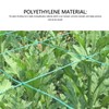 Garden Plant Trellis Netting Green Trellis Netting Polypropylene Plant Support