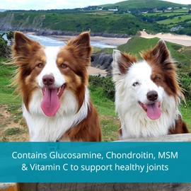Aliment Joint Supplement for Dogs 90 High Strength Capsules Glucosamine 400mg & Chondroitin Sulphate 100mg for Dogs Hip and Joint Care MSM Vitamin C & Manganese Head to Tail
