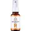 SPENGLERSAN Colloid R 20 ml
