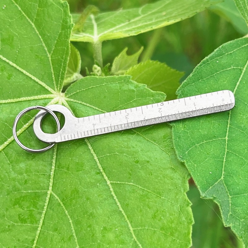 Titanium Ruler, Portable EDC Micro Ruler, Lightweight Keychain Small Ruler,