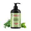 Mielle Rosemary Mint Collection Shampoo