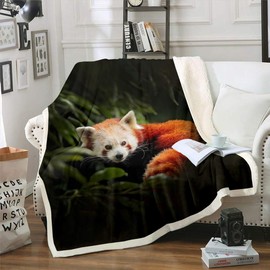 Raccoon Sherpa Blanket Red Panda Plush Tree Green Leaves Fleece Throw for Sofa Bed 3D Wild Animal Fuzzy Ultra Soft Room Decor Single 50x60 Inch
