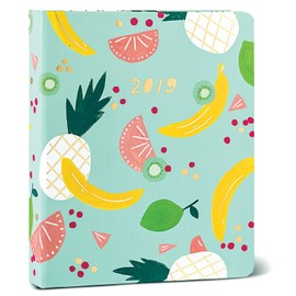 High Note® 2019 Fresh & Colorful Hardcover Organizer 18-month Weekly Engagement Planner - July 2018 to December 2019, 7x8.5 (CHH-0566)