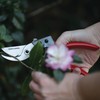 Craftsman 3/4-in. Manual Aluminum Bypass Hand Pruner for Cutting, Trimming