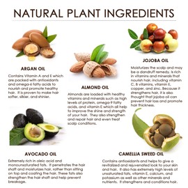 DOUNGURI Sulfate Free Activated Charcoal Hair Shampoo for Clarifying, Detoxification and Volumizing 16oz – Organic Ingredients: Argan (Moroccan), Avocado (Shampoo)