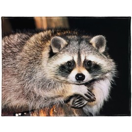 YISUMEI 60" x 80" Blanket Comfort Warmth Soft Plush Throw for Couch Cute Raccoon Sitting on a Tree