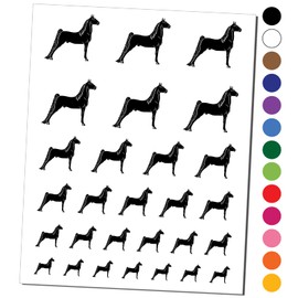 Posing Morgan Horse Temporary Tattoo Water Resistant Fake Body Art Set Collection - Black (One Sheet)