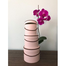 UNIKPACKAGING Premium Quality Round Flower Box, Gift Boxes for Luxury Flower and Gift Arrangements, with Lids, Size (S/M/L), Powder with Brown Rim