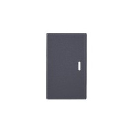 Panasonic WTA3001H Handle for Embedded Switch, Matte Gray