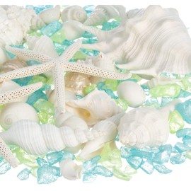 Sea Shells - White Real Mixed Beach Seashells (1lb) with Starfish & Sea Glass Chips - Shells for Crafts - Ocean Decor - Beach Party Decorations - Seashell Decor - Large Shells Crafts