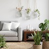 Romooa 6 Pcs Hanging Planters Glass Vases Transparent Glass Terrariums