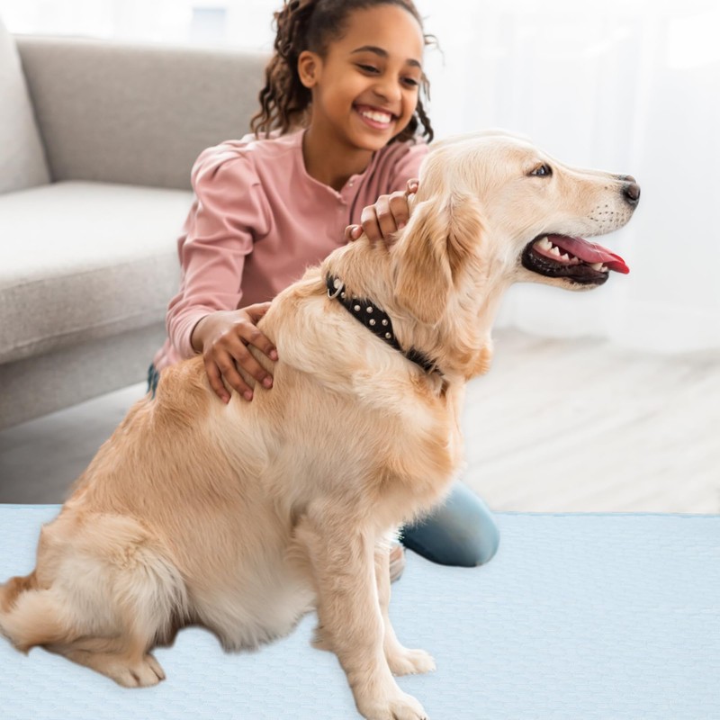 GLIDESMOOTH Dog Cooling Mat, Durable Machine Washable Pets Cool Pad,