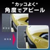 Seikou Sangyo EX-204 Car External Supplies License Plate EXEA Plate