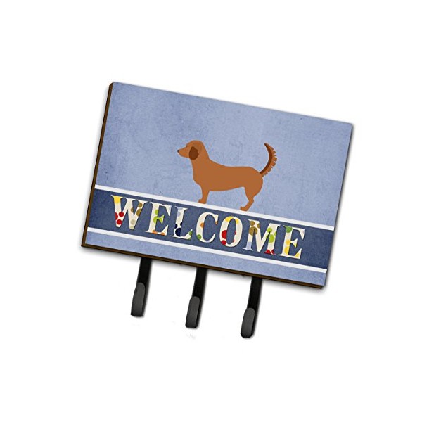 Caroline's Treasures BB8270TH68 Alpine Dachsbrake Leash or Key Holder, Triple,