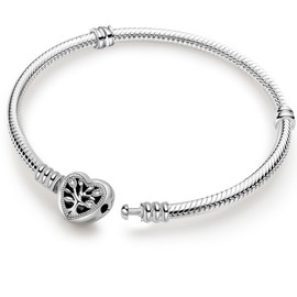 ZHUOMOT Charm Bracelet 925 Silver Women's Bracelets Moments Series Snake Chain Bracelet, Charms Bracelet Women's Silver Pendant Bracelets, Charm Bracelet Jewellery Gift for Women, 17 18 19 20 21 23 cm