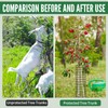 6 Pcs Tree Protectors from Deer, Tree Guards Trunk Protector