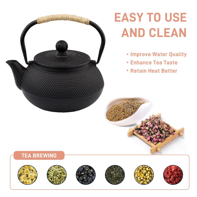 SECHUDO Japanese Tetsubin Cast Iron Teapot Tea Kettle pot with