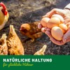 HÜHNER Land Egg Fit for Laying Hens 500 g -