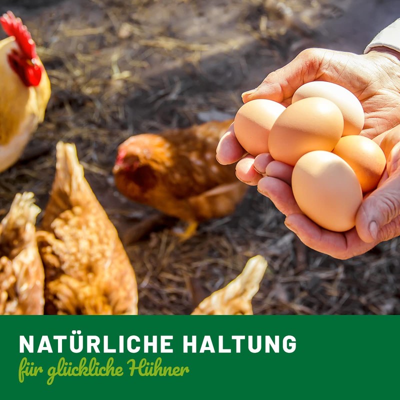 HÜHNER Land Egg Fit for Laying Hens 500 g -