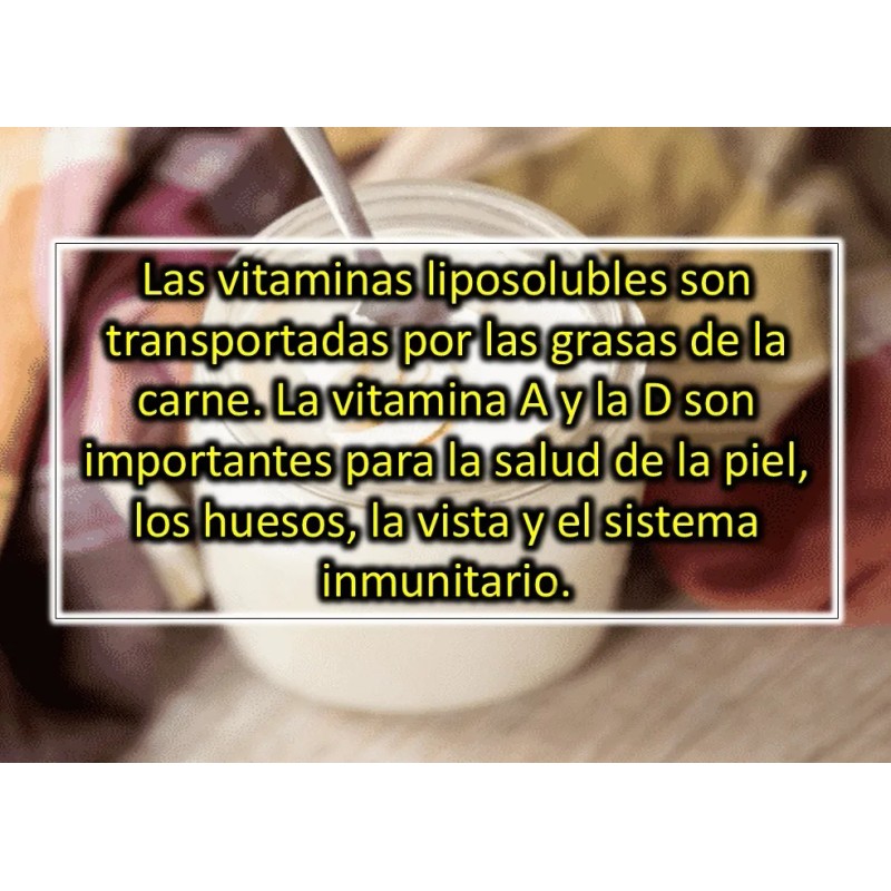 Grasa De Res, Manteca D Vaca, Cebo De Buey, Beef