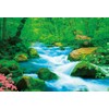 Beverly 33-177 300 Piece Jigsaw Puzzle, Oirase Mountain Stream 10.2