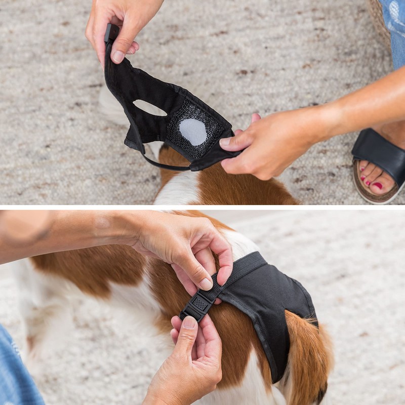 Trixie Protective Dog Pant, Small/Medium, Black