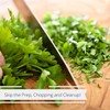 Dried Parsley Flakes by Its Delish – 2 Oz Bulk