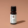 Plant Therapy | Aceite Esencial de Tomillo | 10 mL |