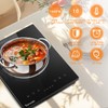 Single Burner Induction Cooktop, 110V Portable Electric Stove with 10