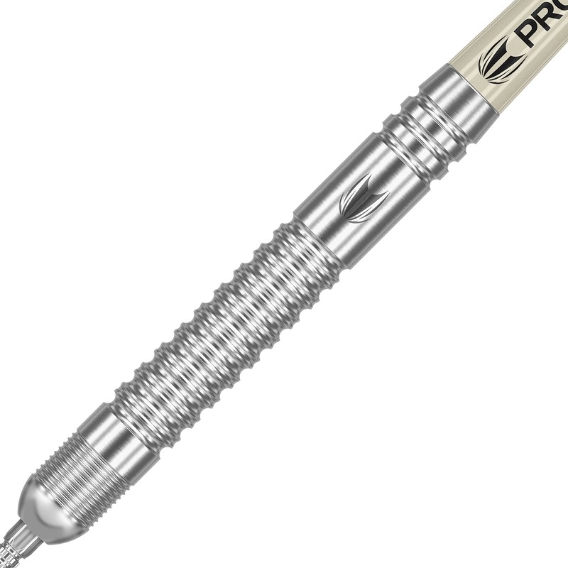 Target Darts Dimitri Van den Bergh Dream Maker G2 23G
