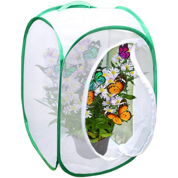 SunGrow Foldable Butterfly Habitat, 24" Butterfly Cage for Caterpillars, Create Butterfly Farm, Enclosure for Breeding Soldier Fly, Ladybug, Dragonfly, or Housefly for Chicken and Reptile Feed, Green