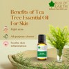 Bliss Of Earth 100% Pure Tea Tree Essential Oil -