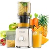 SPZTJK Cold Press Juicer, 5.3'' Wide Feed Chute Juice Extractor