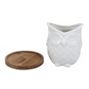 Ceramic Owl Succulent Planter Pot with Drainage Tray, Cute Animal