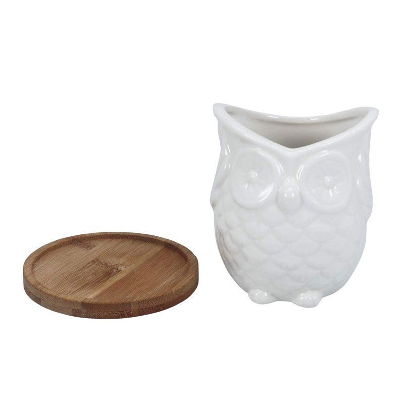 Ceramic Owl Succulent Planter Pot with Drainage Tray, Cute Animal