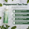 EDEN BodyWorks Peppermint Tea Tree Shampoo | Clarifying Shampoo for