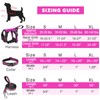 WINSEE Pet Harness Collar and Leash Set, All-in-one Reflective Dog